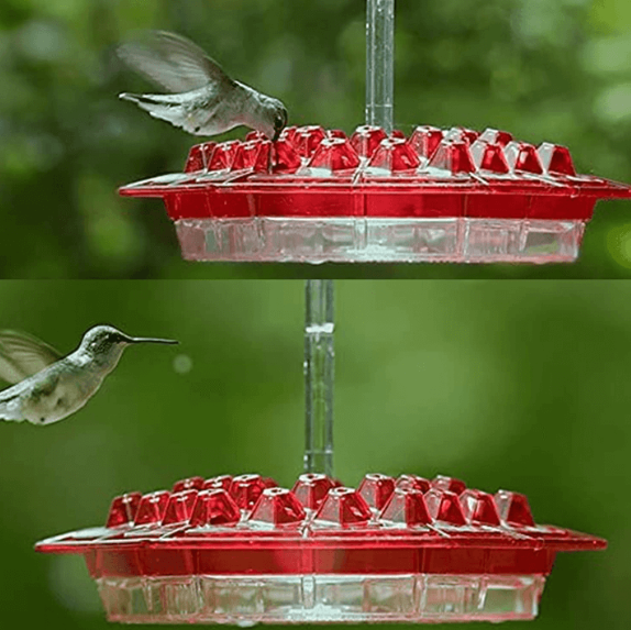 Feeder per Colibrì da Appendere all'Aperto con Vassoio per Nettare Antipolvere