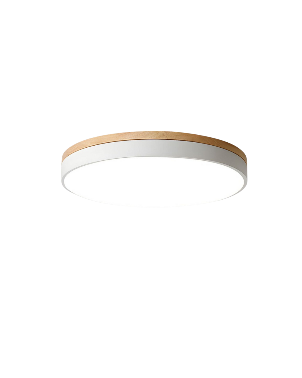 Lampada da Soffitto Moderna con Forma Ispirata alla Natura