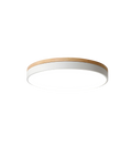 Lampada da Soffitto Moderna con Forma Ispirata alla Natura