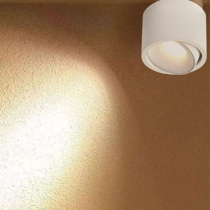 Faretto da Soffitto LED Regolabile