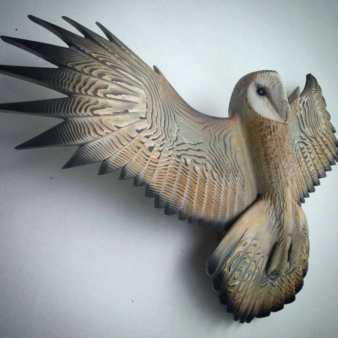 Sguardo magnifico dell'allocco in edizione artistica