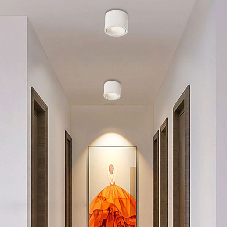 Faretto da Soffitto LED Regolabile