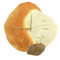 Eleganza naturale al ritmo dell'orologio!