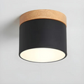 Vesta - Lampada da soffitto LED vintage