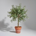 Pianta Artificiale da Interno