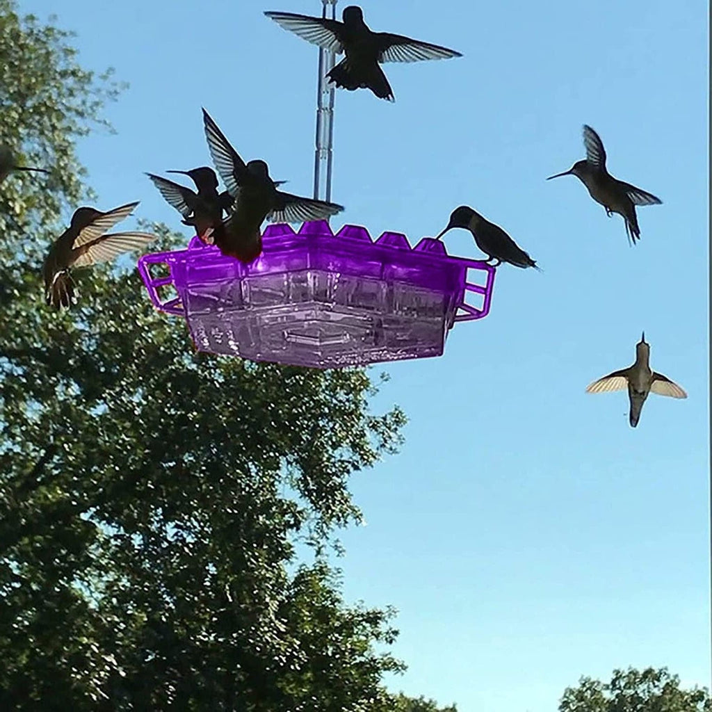 Feeder per Colibrì da Appendere all'Aperto con Vassoio per Nettare Antipolvere