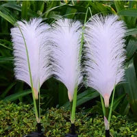 Illuminazione Decorativa da Giardino in Rattan - SunReed