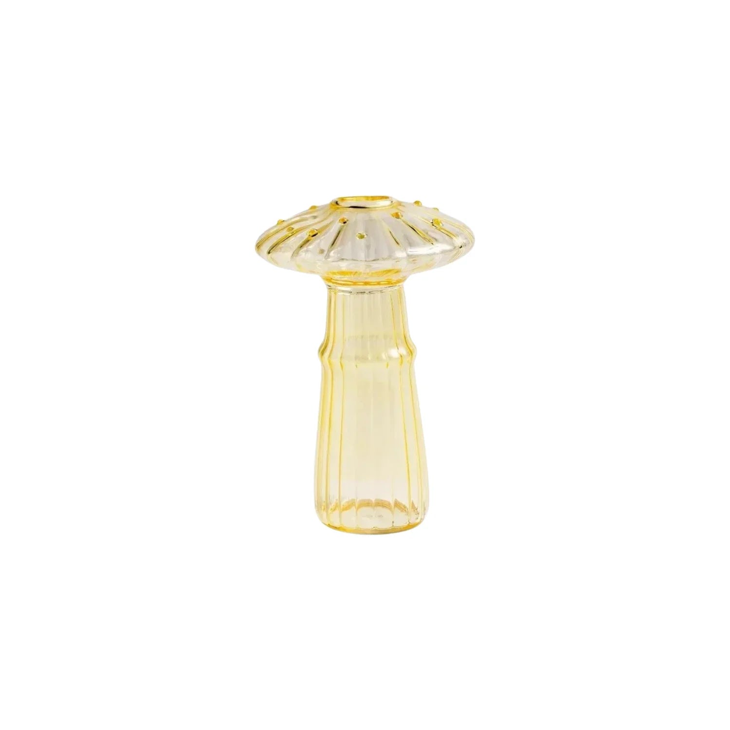 Collezione di Vasi Penny Bun - Set di 5