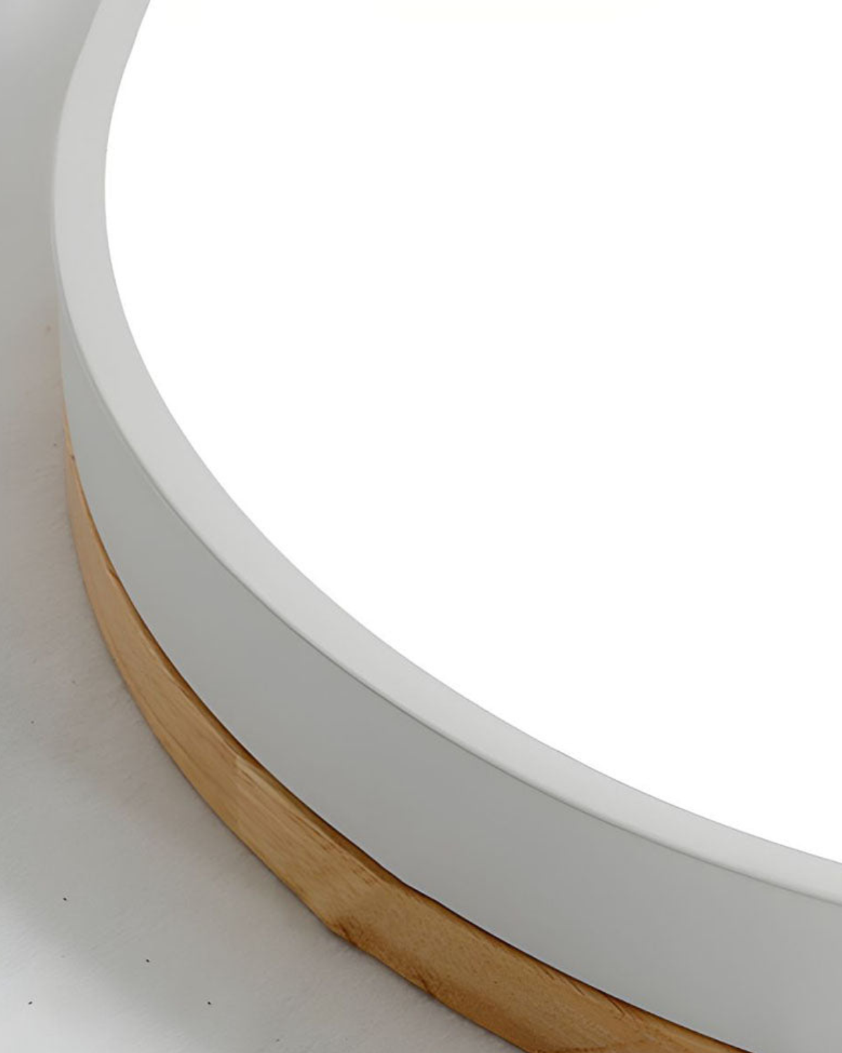 Lampada da Soffitto Moderna con Forma Ispirata alla Natura