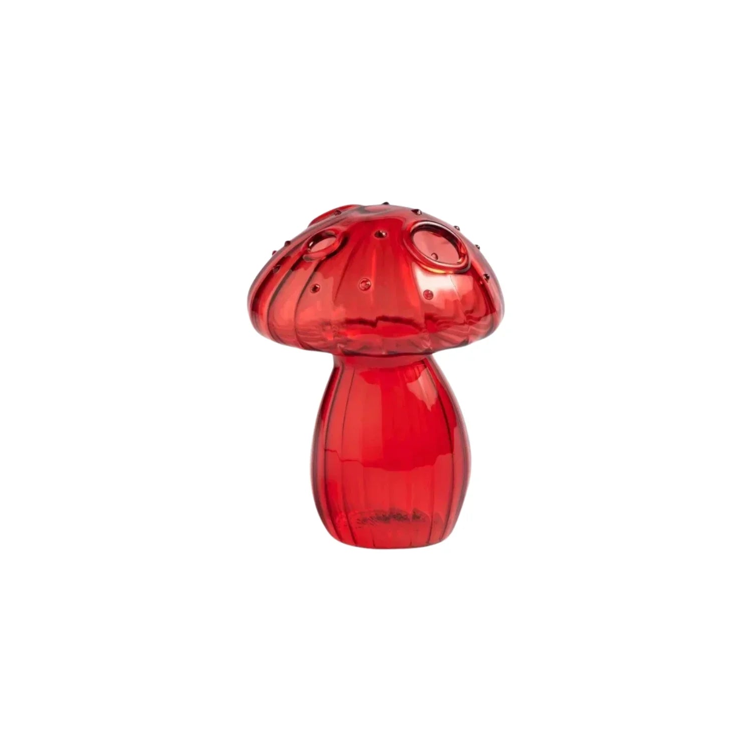 Collezione di Vasi Penny Bun - Set di 5