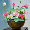 LotusWaters – Semi di Giardino Acquatico Bonsai per Stagno e Balcone | Brehn