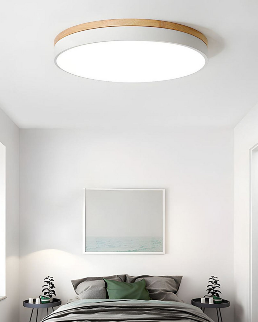 Lampada da Soffitto Moderna con Forma Ispirata alla Natura