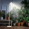 Luce di Crescita Mistyjungle per Piante da Interno, Luce per Piante a Pavimento Full Spectrum con Supporto, Grandi Lampade da Crescita con Timer Automatico, Altezza Regolabile fino a 60 Pollici, Dimmabile in 10 Livelli, Lampada da Crescita LED Ha