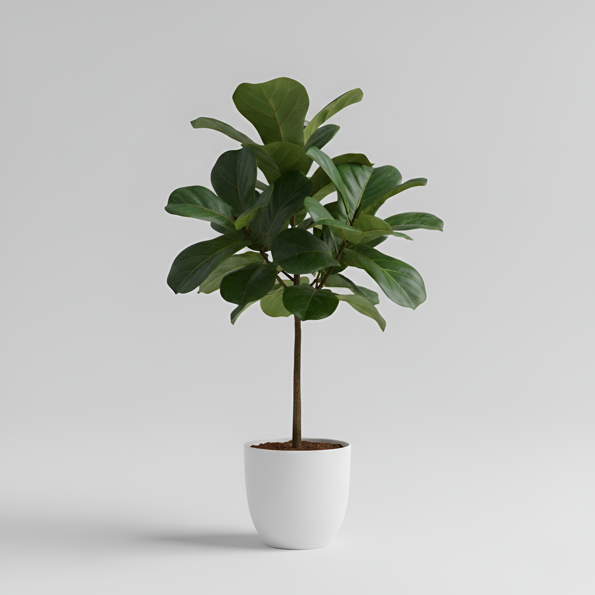 Pianta Artificiale Decorativa