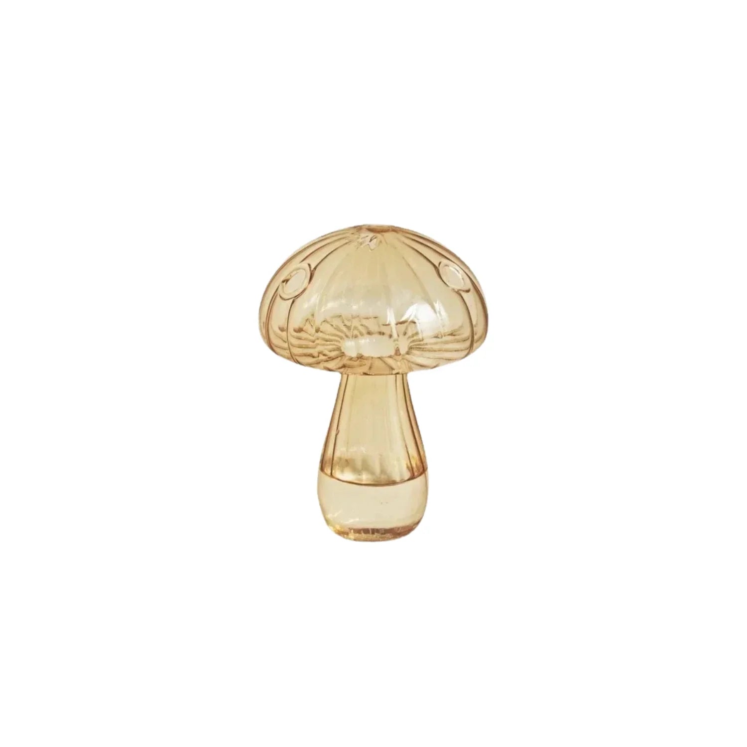 Collezione di Vasi Penny Bun - Set di 5