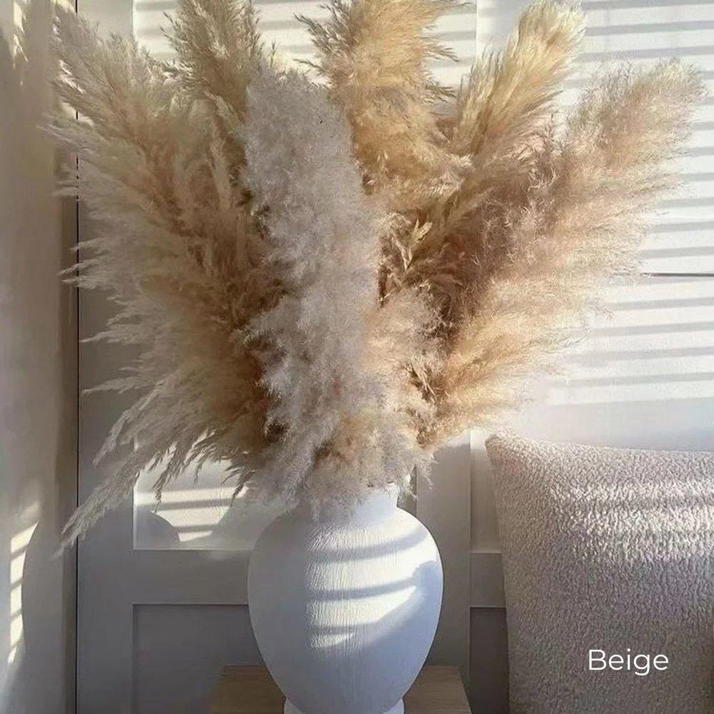Bouquet di erba di pampas essiccata naturale, reale di 80 cm (bianco / beige / grigio) │ piuma soffice per decorazioni moderne in stile boho