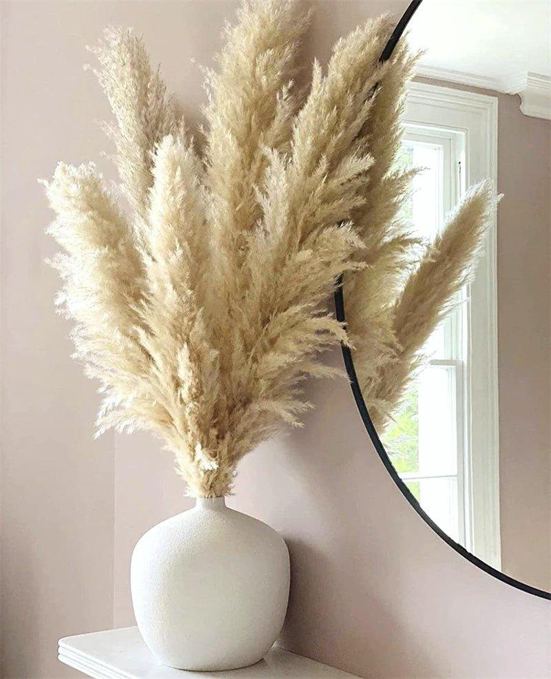 Bouquet di erba di pampas essiccata naturale, reale di 80 cm (bianco / beige / grigio) │ piuma soffice per decorazioni moderne in stile boho
