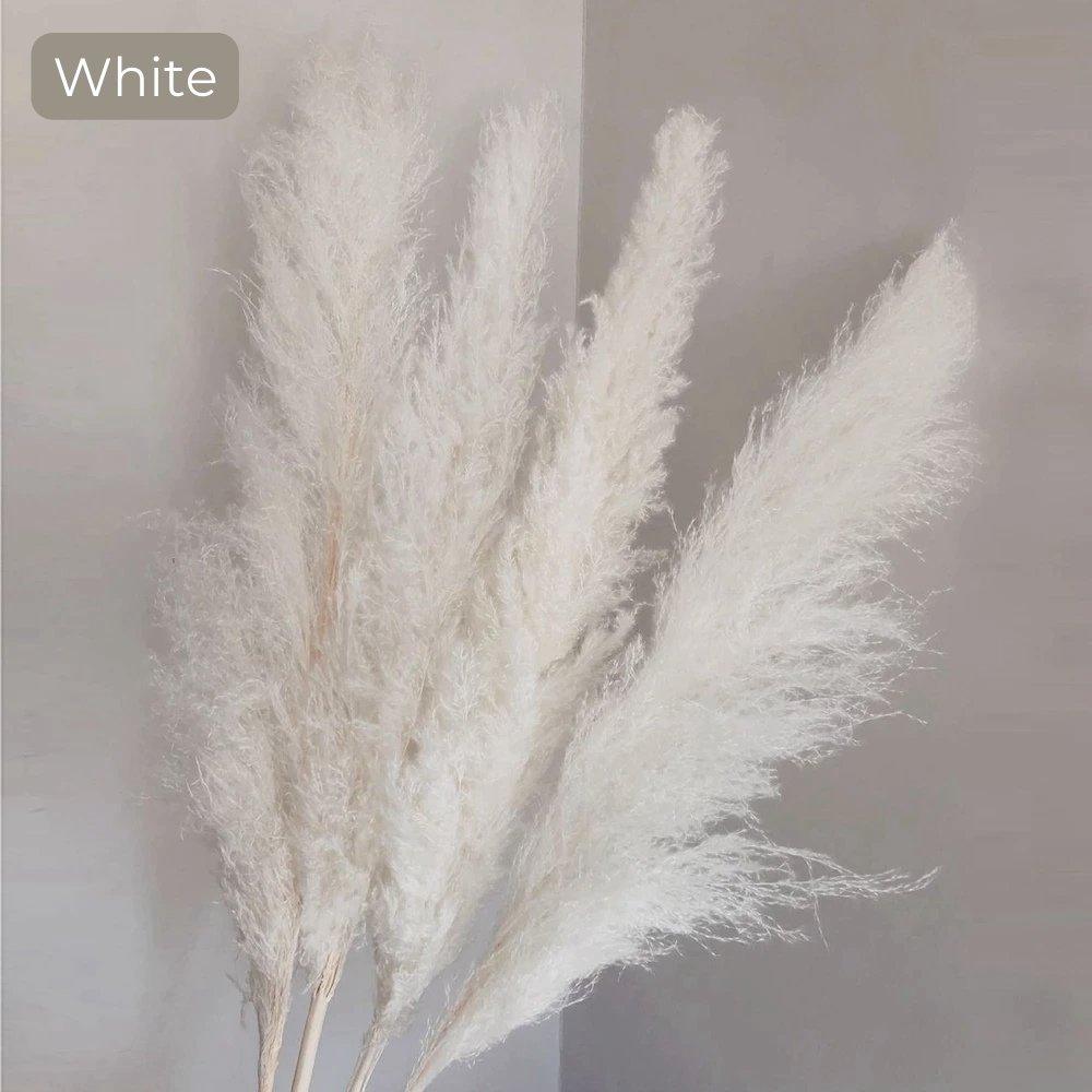 Bouquet di erba di pampas essiccata naturale, reale di 80 cm (bianco / beige / grigio) │ piuma soffice per decorazioni moderne in stile boho