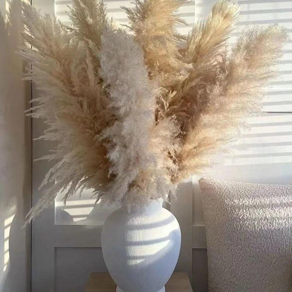 Bouquet di erba di pampas essiccata naturale, reale di 80 cm (bianco / beige / grigio) │ piuma soffice per decorazioni moderne in stile boho