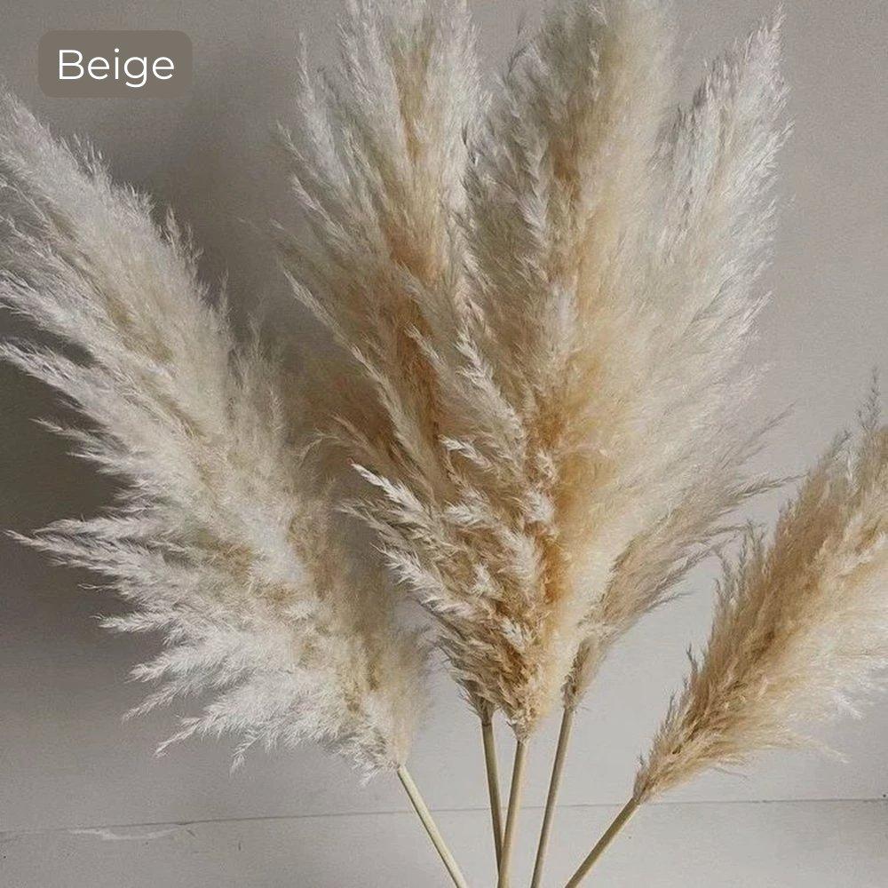 Bouquet di erba di pampas essiccata naturale, reale di 80 cm (bianco / beige / grigio) │ piuma soffice per decorazioni moderne in stile boho
