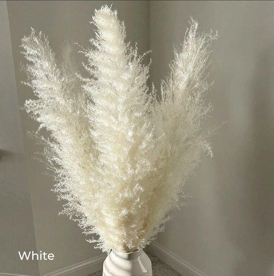 Bouquet di erba di pampas essiccata naturale, reale di 80 cm (bianco / beige / grigio) │ piuma soffice per decorazioni moderne in stile boho