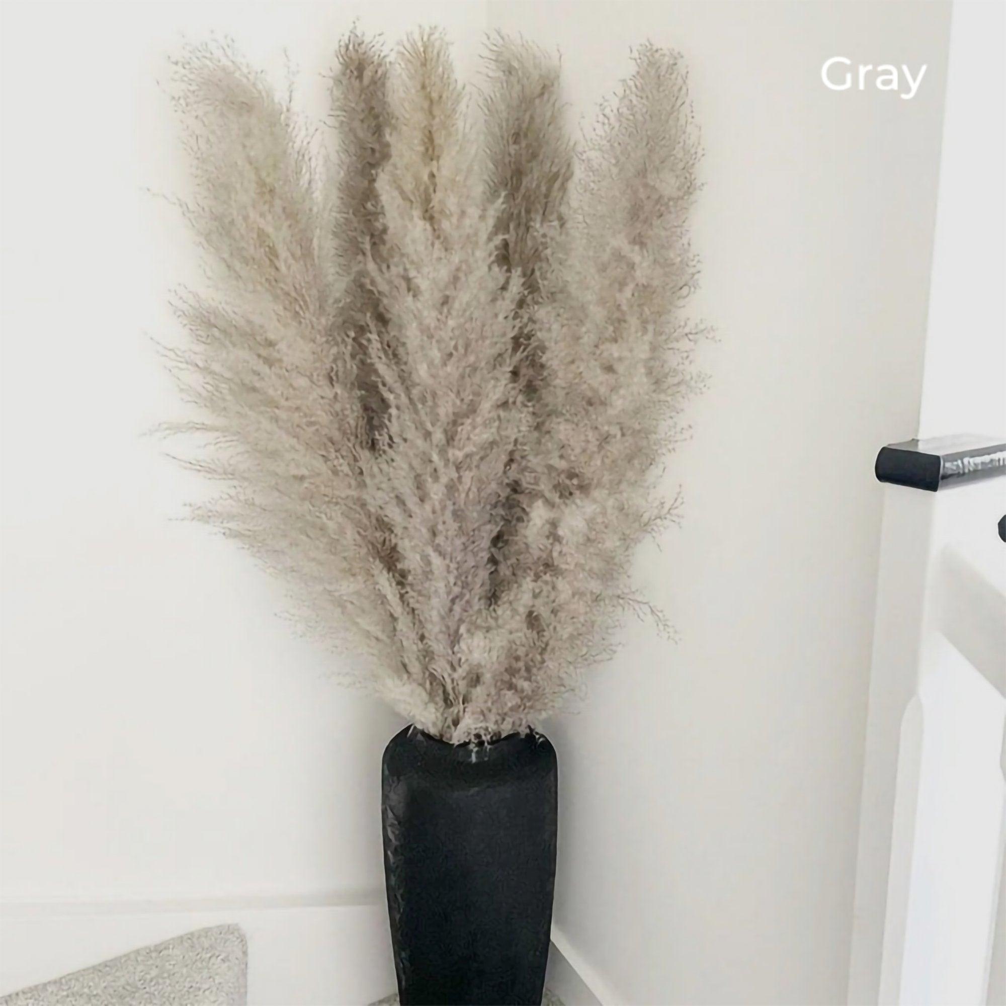 Bouquet di erba di pampas essiccata naturale, reale di 80 cm (bianco / beige / grigio) │ piuma soffice per decorazioni moderne in stile boho