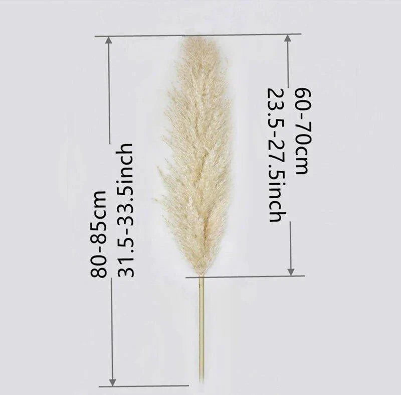 Bouquet di erba di pampas essiccata naturale, reale di 80 cm (bianco / beige / grigio) │ piuma soffice per decorazioni moderne in stile boho