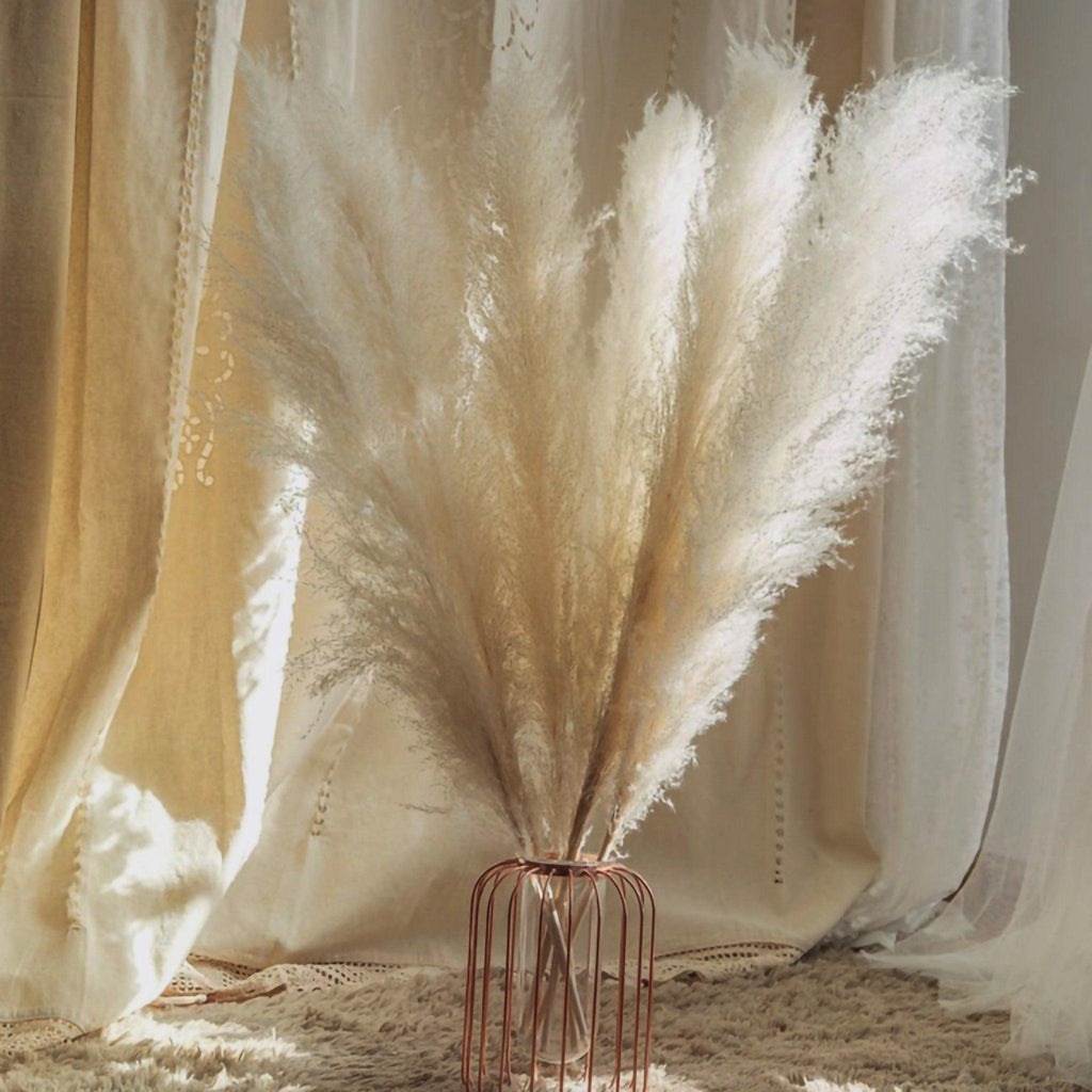 Bouquet di erba di pampas essiccata naturale, reale di 80 cm (bianco / beige / grigio) │ piuma soffice per decorazioni moderne in stile boho
