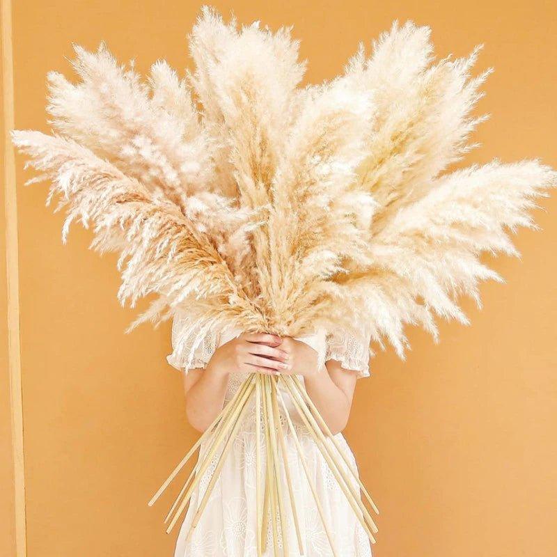 Bouquet di erba di pampas essiccata naturale, reale di 80 cm (bianco / beige / grigio) │ piuma soffice per decorazioni moderne in stile boho