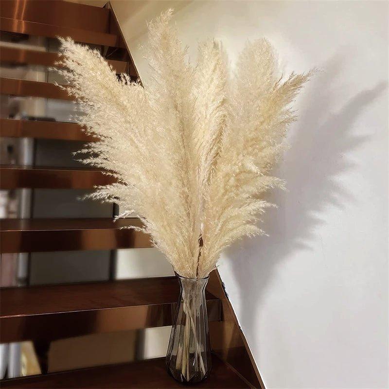 Bouquet di erba di pampas essiccata naturale, reale di 80 cm (bianco / beige / grigio) │ piuma soffice per decorazioni moderne in stile boho