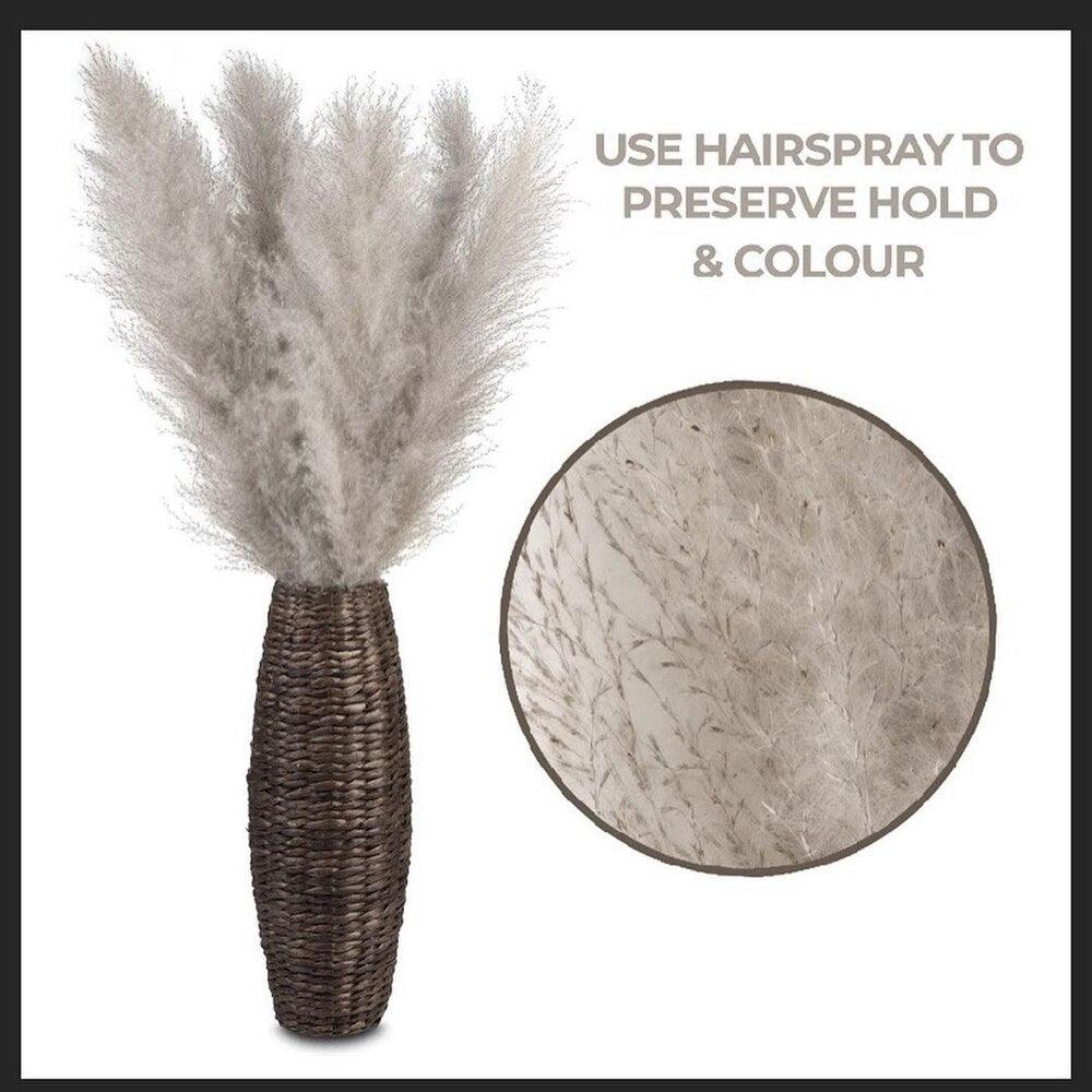 Bouquet di erba di pampas essiccata naturale, reale di 80 cm (bianco / beige / grigio) │ piuma soffice per decorazioni moderne in stile boho