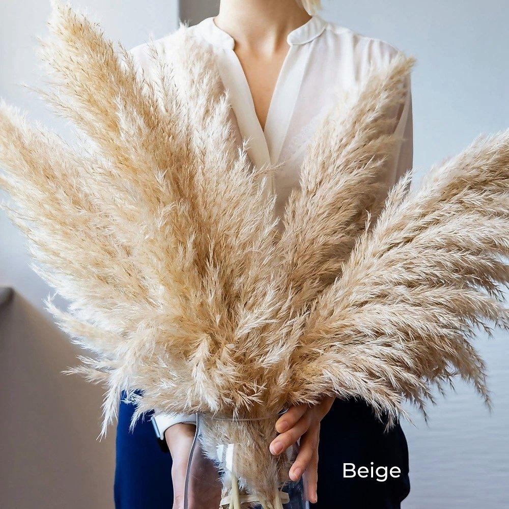 Bouquet di erba di pampas essiccata naturale, reale di 80 cm (bianco / beige / grigio) │ piuma soffice per decorazioni moderne in stile boho