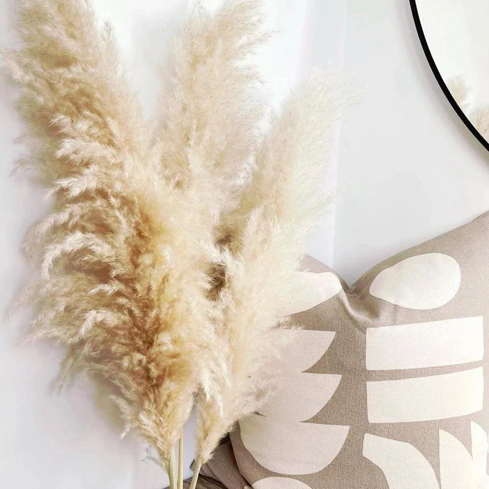 Bouquet di erba di pampas essiccata naturale, reale di 80 cm (bianco / beige / grigio) │ piuma soffice per decorazioni moderne in stile boho