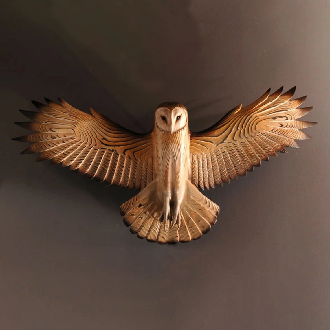 Sguardo magnifico dell'allocco in edizione artistica