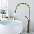 Rubinetto per Lavabo da Bagno con Maniglia Singola per Controllo Acqua Calda e Fredda