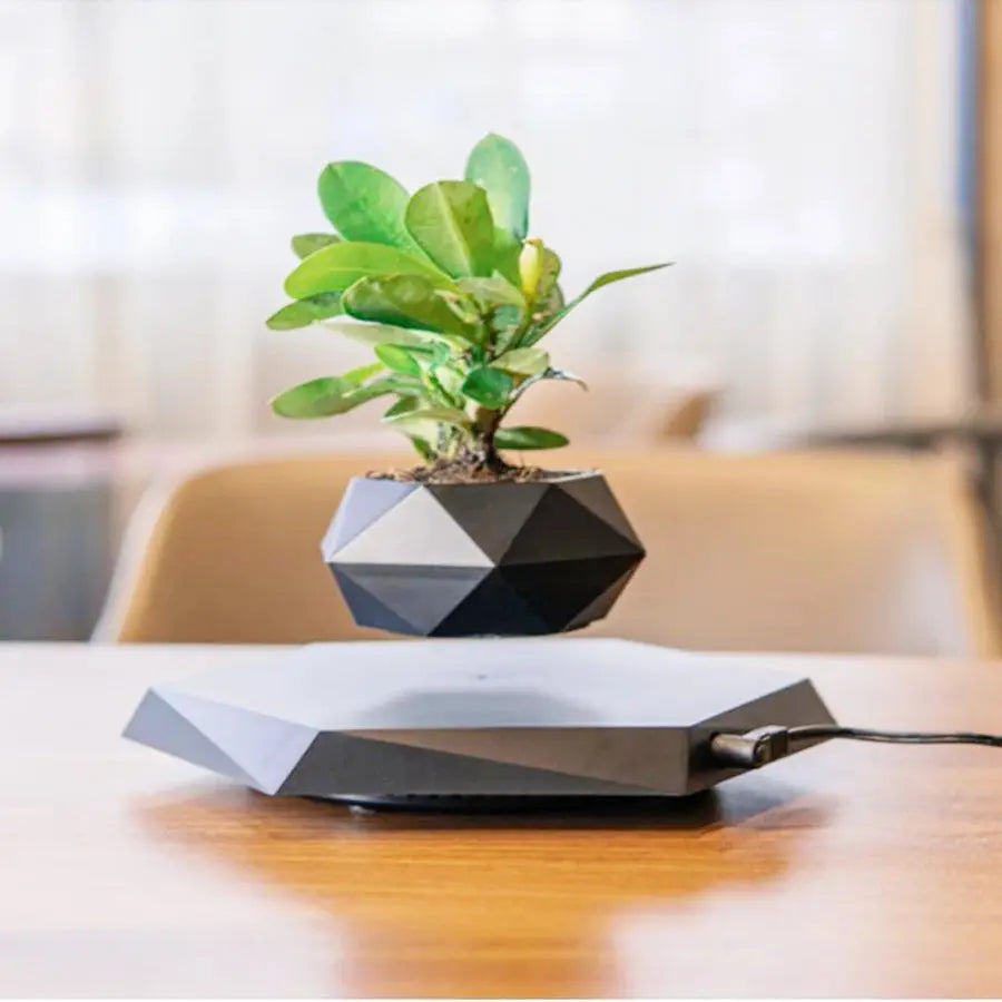 Vaso da fiori | Ruotabile a 360° | Design scultoreo e sospeso | AeroPlant