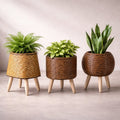 Vaso con piedi in legno | Design in stile intrecciato | Per interni ed esterni | Plantara