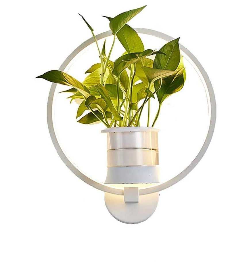 Lampada da parete botanica - lampada da parete con pianta per un'illuminazione elegante