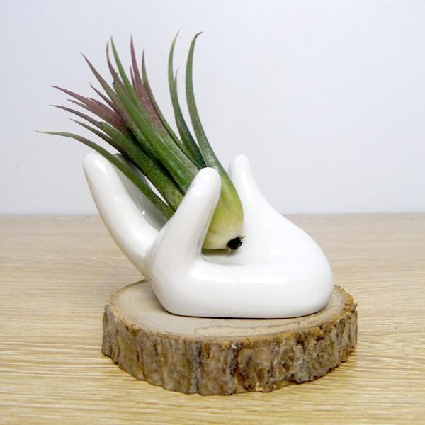 Porta gioielli a forma di uovo per piante d'aria in ceramica modellata a mano
