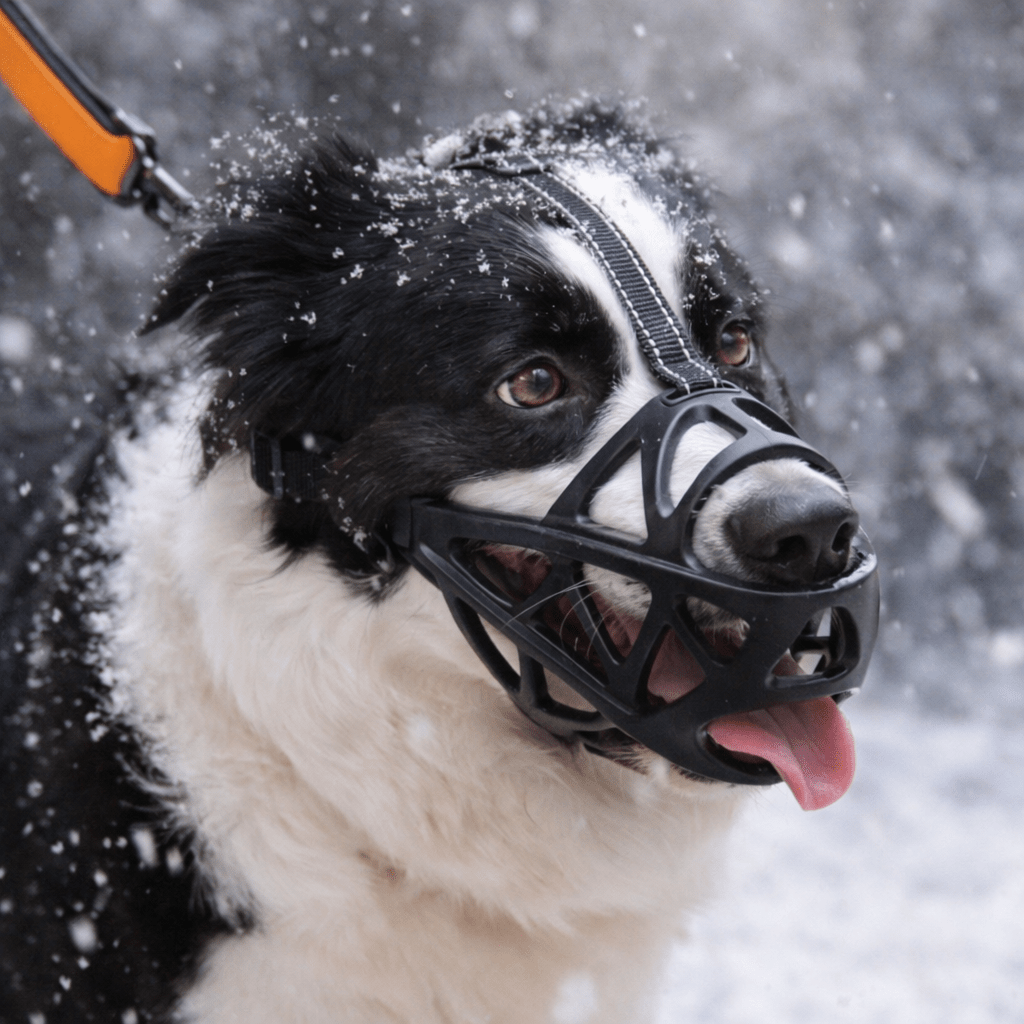DOGORA – Muzzle per cani morbido per situazioni quotidiane sicure