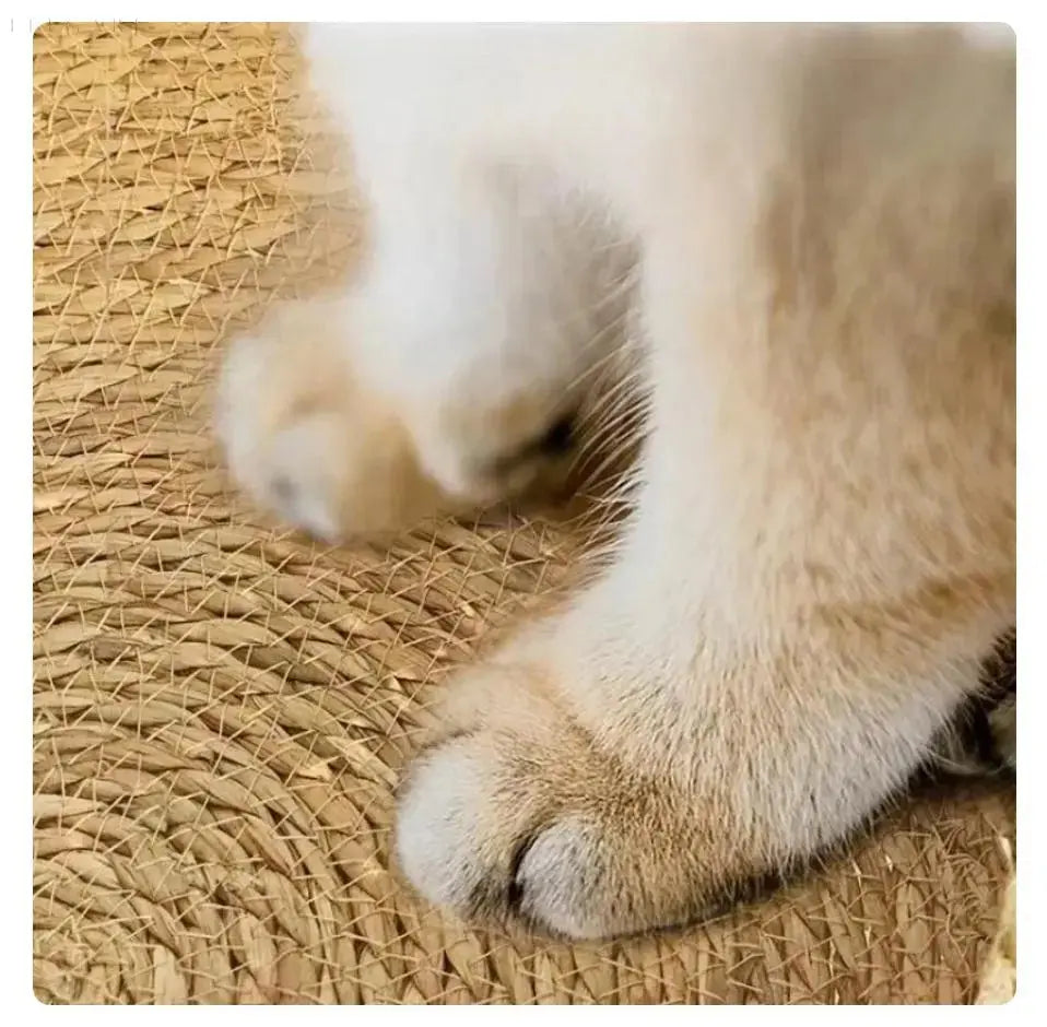 Cozypets – Letto per gatti super morbido e confortevole