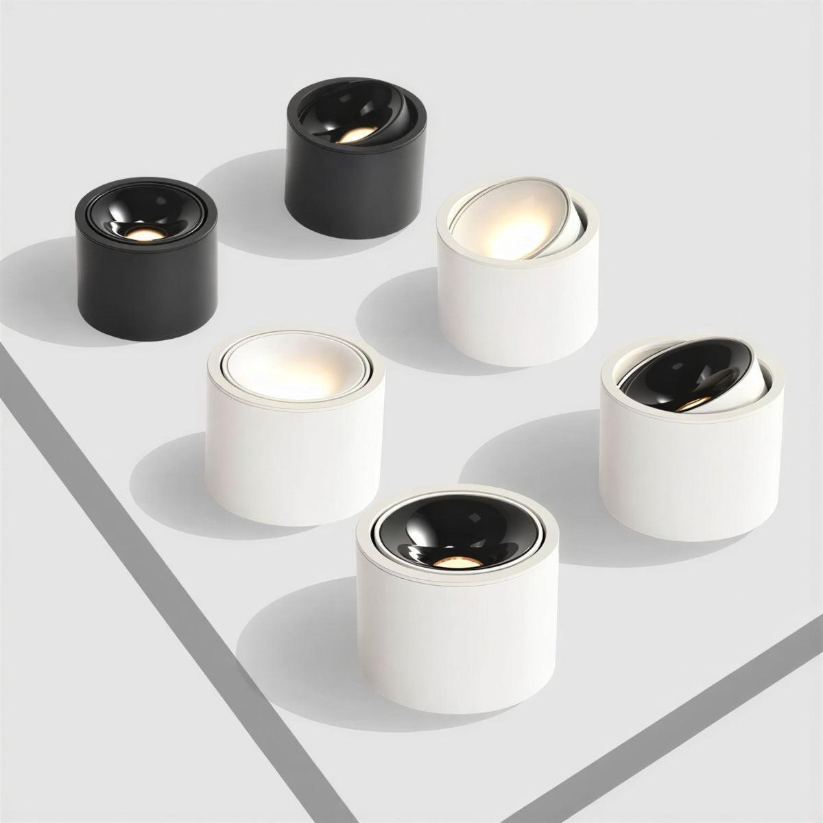Apparecchio di Illuminazione a Soffitto Cilindrico con Faretto a Incasso Regolabile