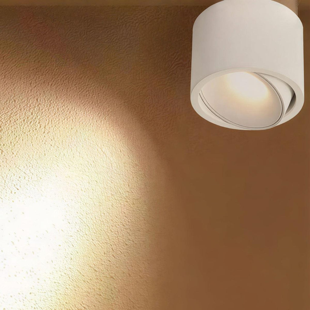 Apparecchio di Illuminazione a Soffitto Cilindrico con Faretto a Incasso Regolabile