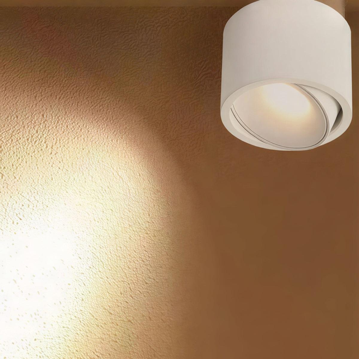 Apparecchio di Illuminazione a Soffitto Cilindrico con Faretto a Incasso Regolabile