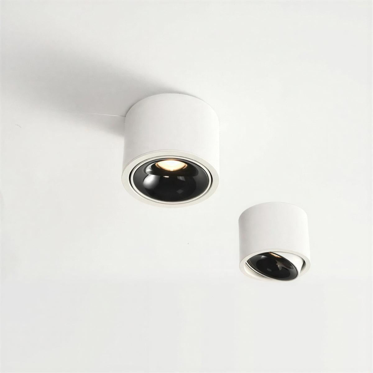 Apparecchio di Illuminazione a Soffitto Cilindrico con Faretto a Incasso Regolabile