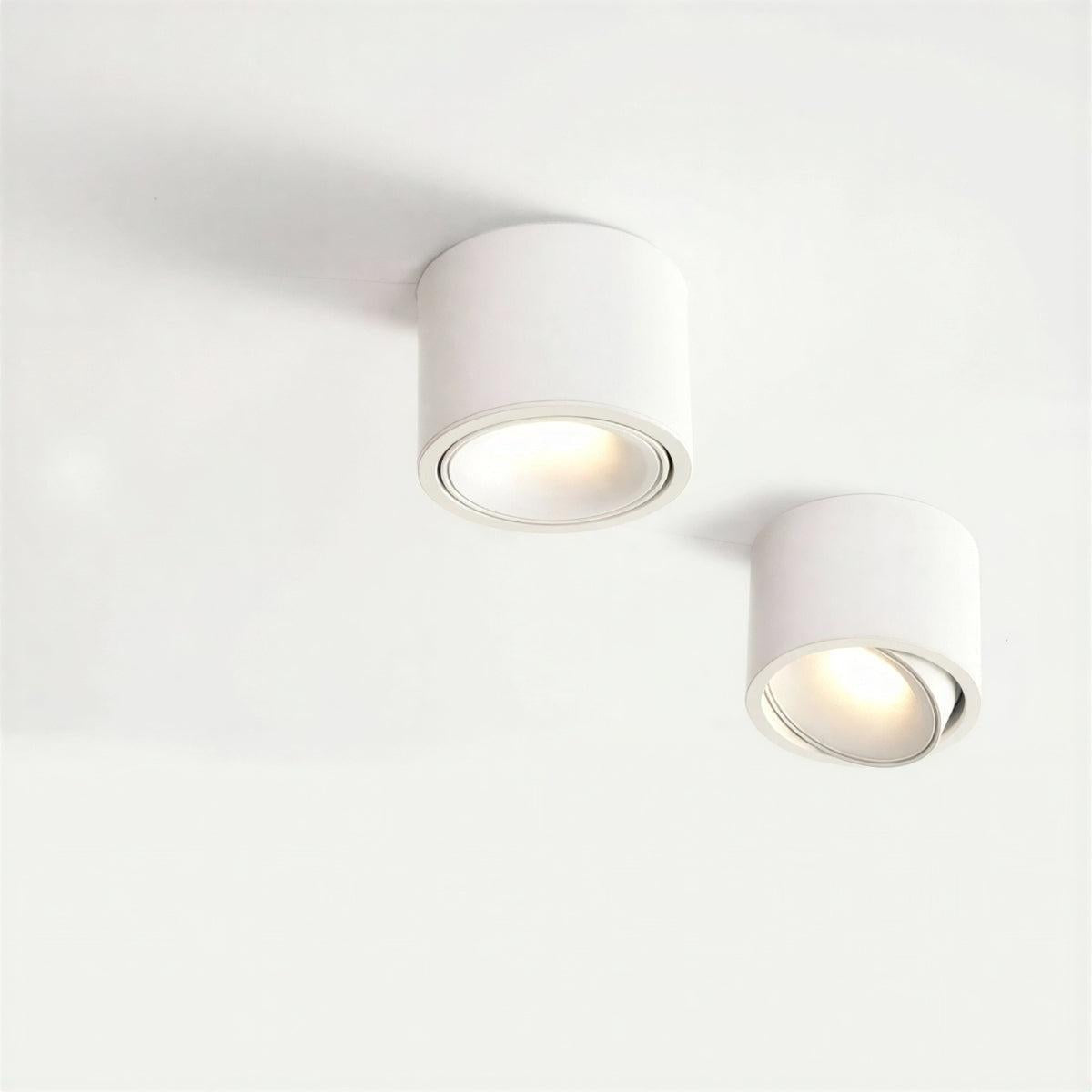 Apparecchio di Illuminazione a Soffitto Cilindrico con Faretto a Incasso Regolabile