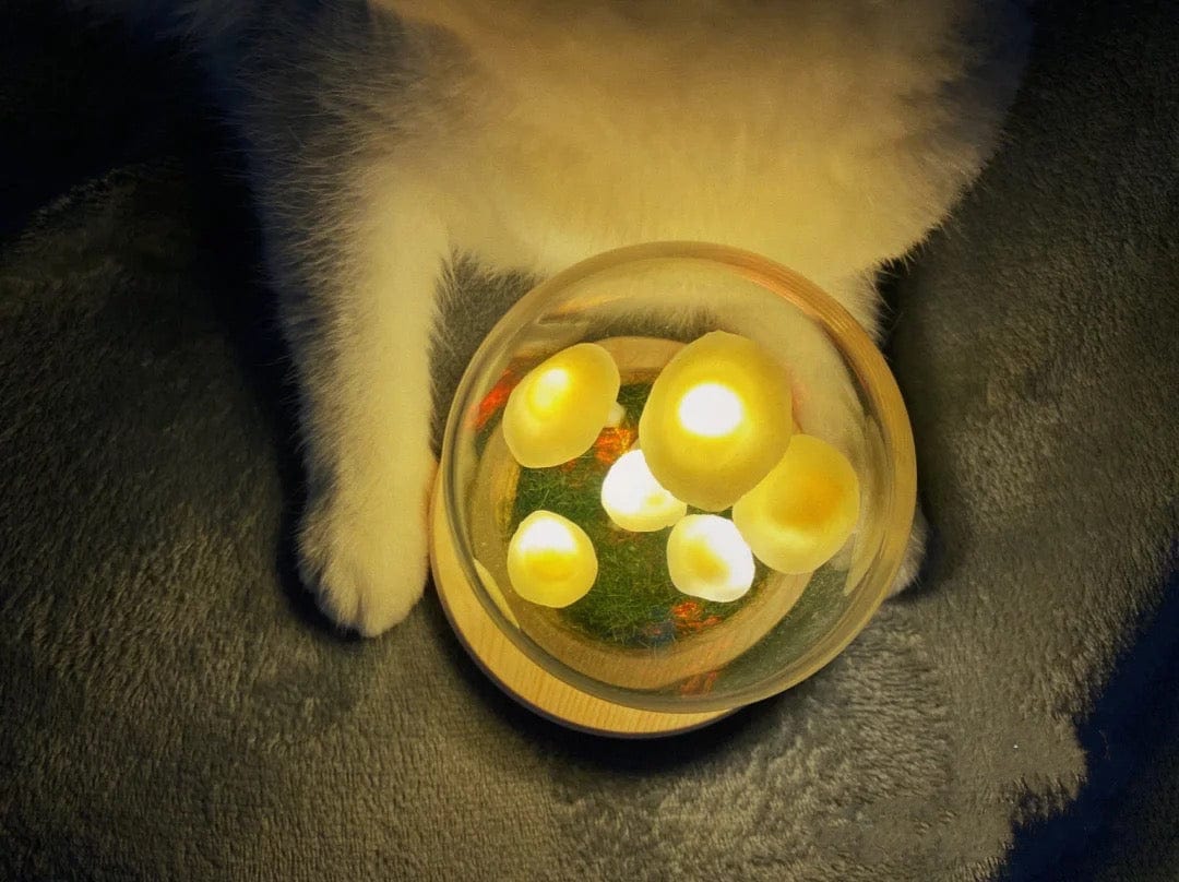 Coltivazione domestica con un tocco di magia
