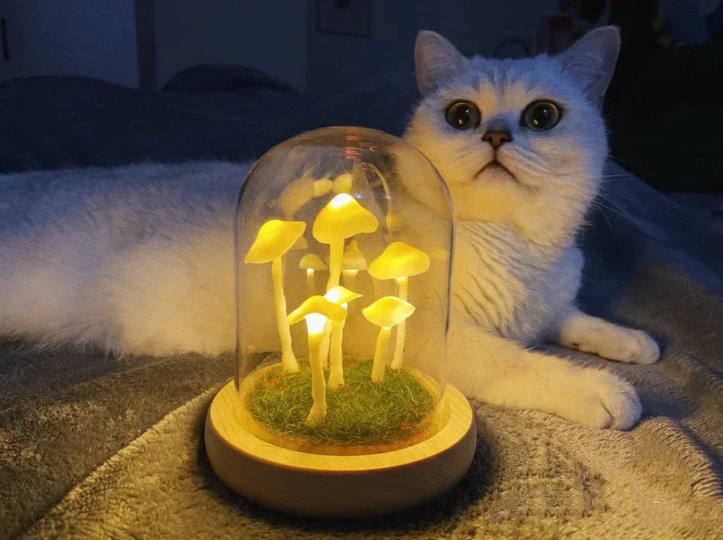 Coltivazione domestica con un tocco di magia
