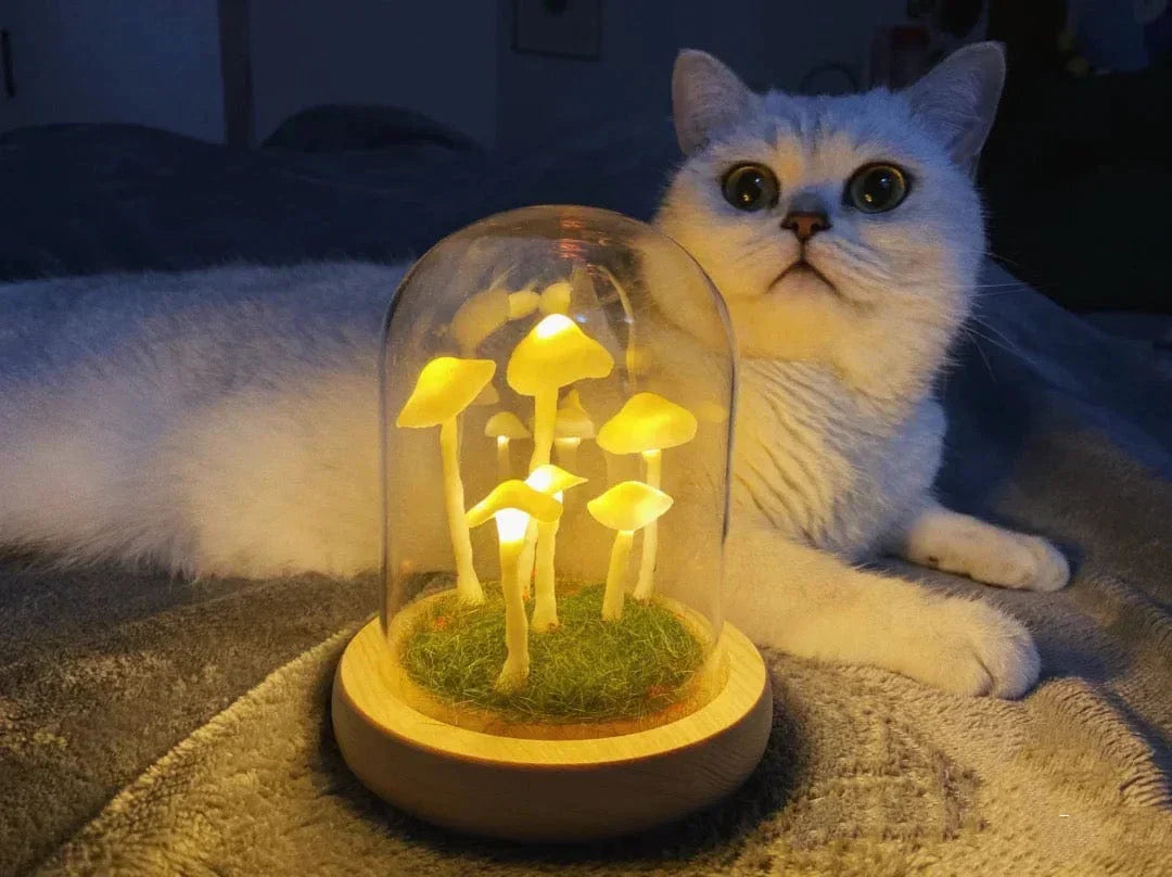 Coltivazione domestica con un tocco di magia