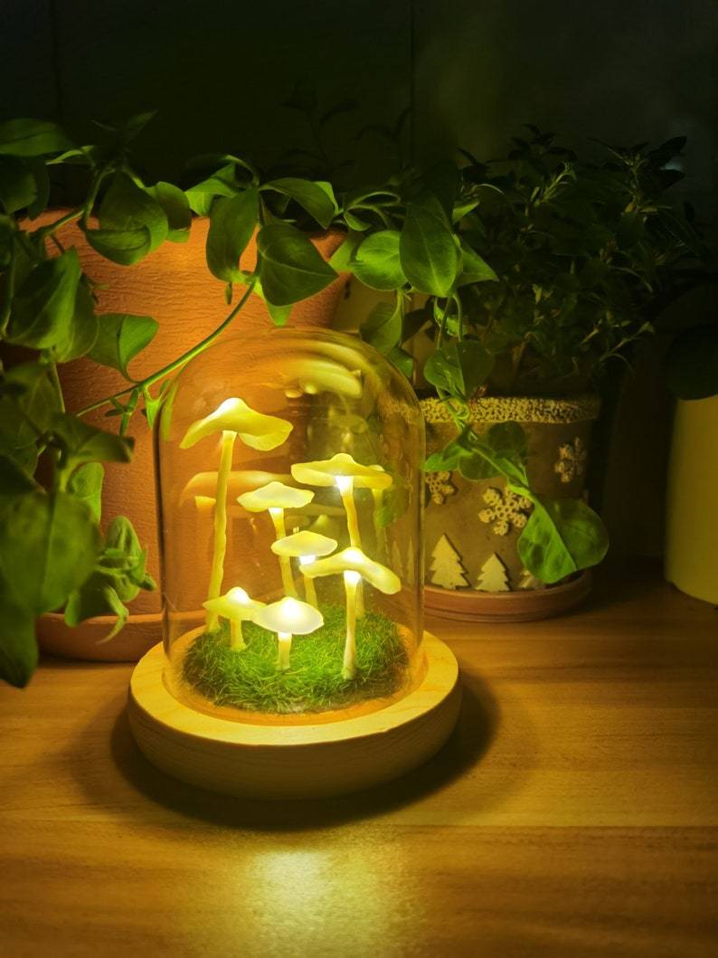 Coltivazione domestica con un tocco di magia